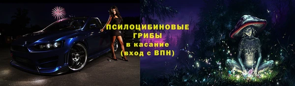 прущие крисы Богданович