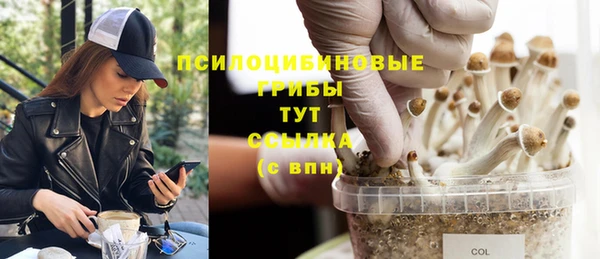 2c-b Богородск