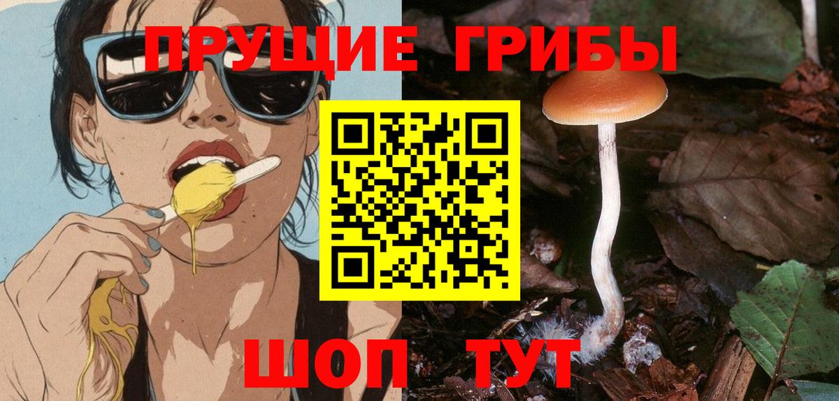 где можно купить наркотик  Вход с VPN  Малоярославец  Псилоцибиновые грибы прущие грибы 