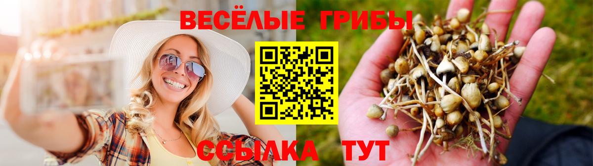 Галлюциногенные грибы Cubensis Малоярославец